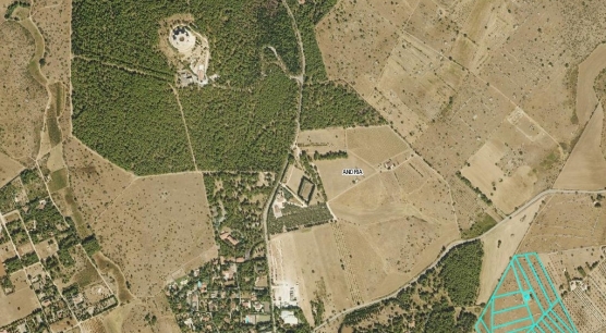 Terreno Panoramico con Fabbricato Rurale ai piedi di Castel del Monte